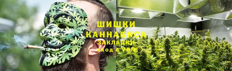 купить   Ардатов  kraken как войти  Бошки Шишки LSD WEED 